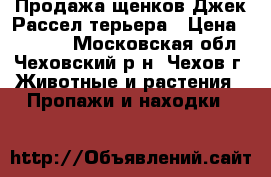 Продажа щенков Джек Рассел терьера › Цена ­ 20 000 - Московская обл., Чеховский р-н, Чехов г. Животные и растения » Пропажи и находки   